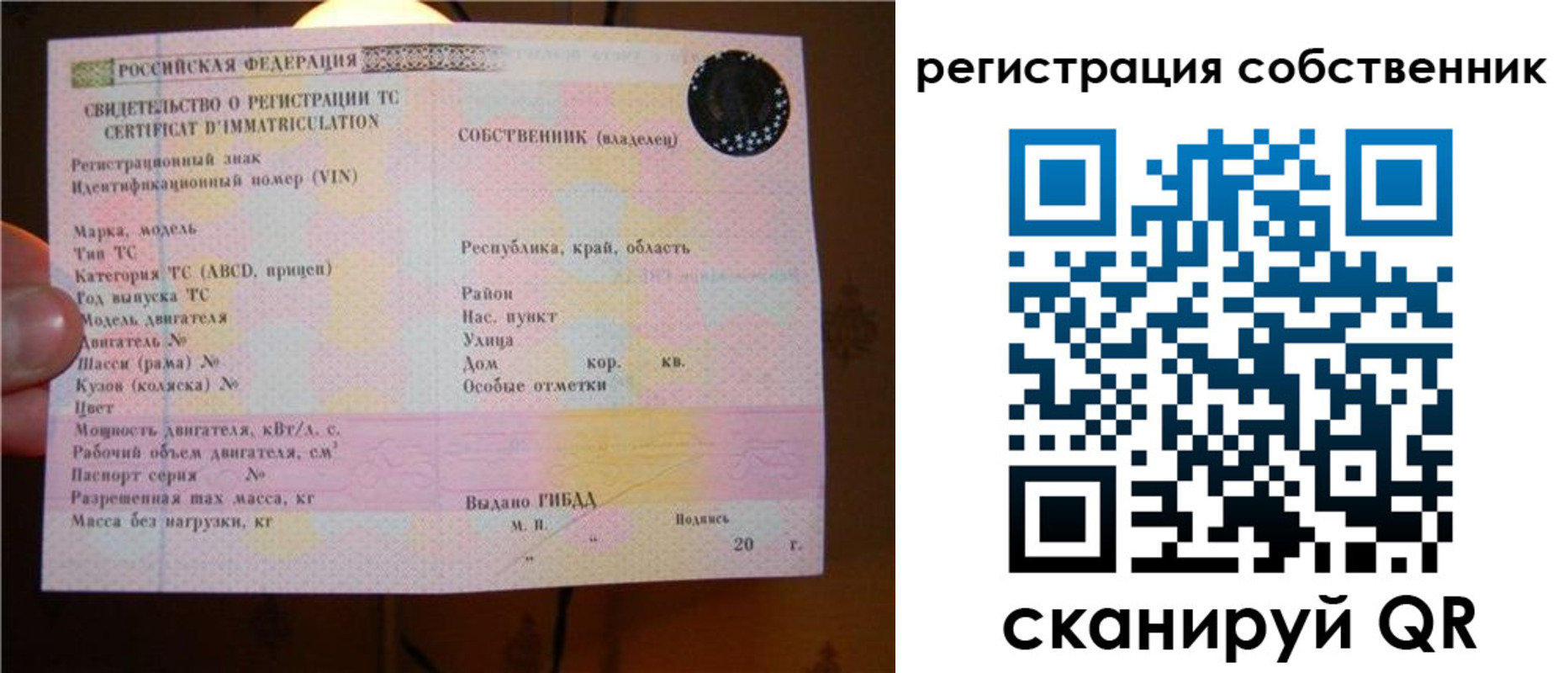 прописка иностранных граждан в Геленджике